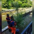 После потопа на набережной Салгира в Симферополе восстановят растения