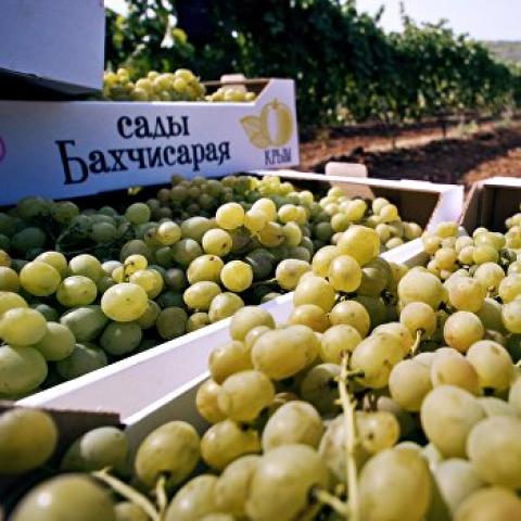 Аксенов: «Порошковое вино» ушло из Крыма вместе с Украиной  