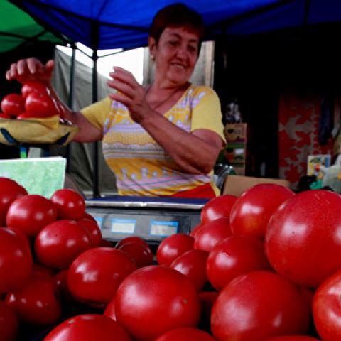В Крыму подешевели огурцы, помидоры, лук и яйца - Минпром 