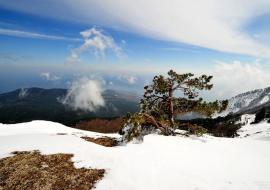 Начало года будет непростым: астролог дал прогноз для Крыма на 2026 год