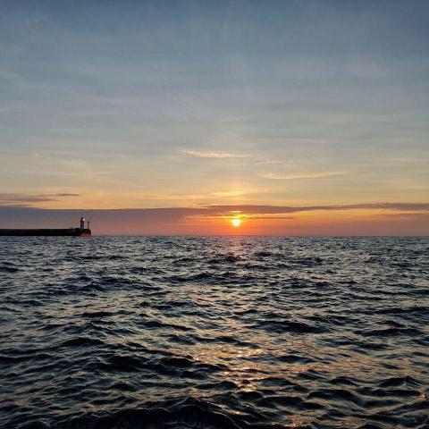 Температура моря у берегов Крыма