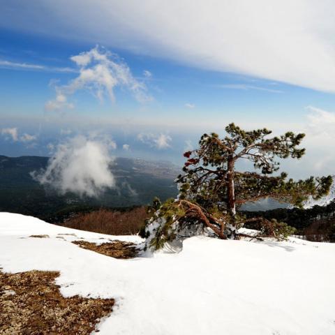 Начало года будет непростым: астролог дал прогноз для Крыма на 2026 год