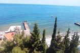  Номер Орхидея Эллинги Дельфин Крым Алушта