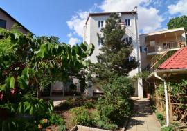 Прибой Белив - Прибой Саки